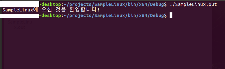[Linux] Visual Studio 2019에서 코딩하기